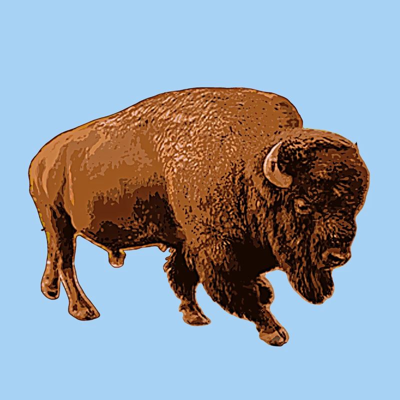 bison