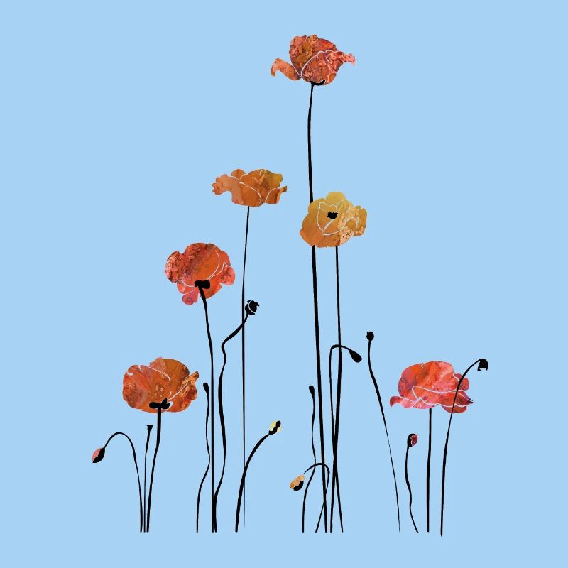 Mohnblume Klatschmohn