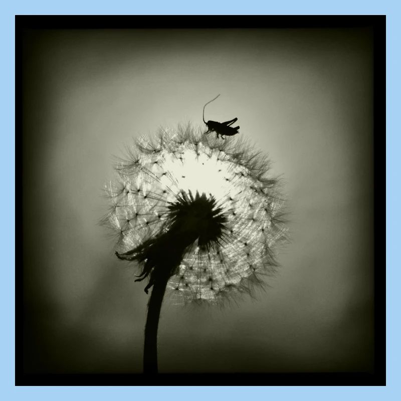 Tiny Planet