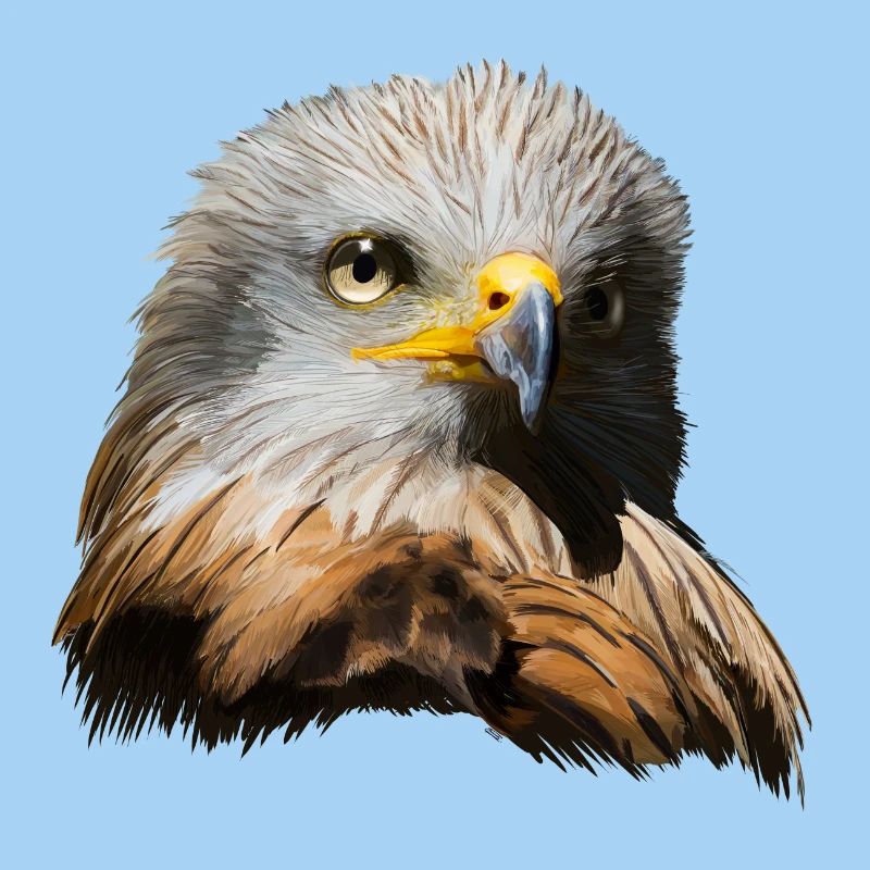 Imperial eagle