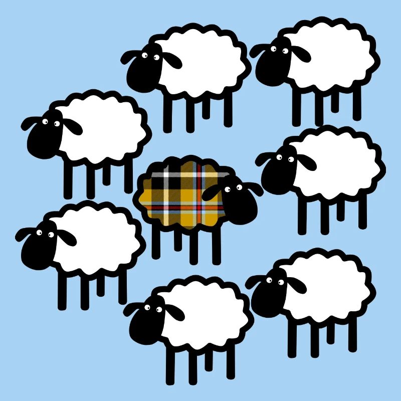 Cornish sheep don’t follow the flock