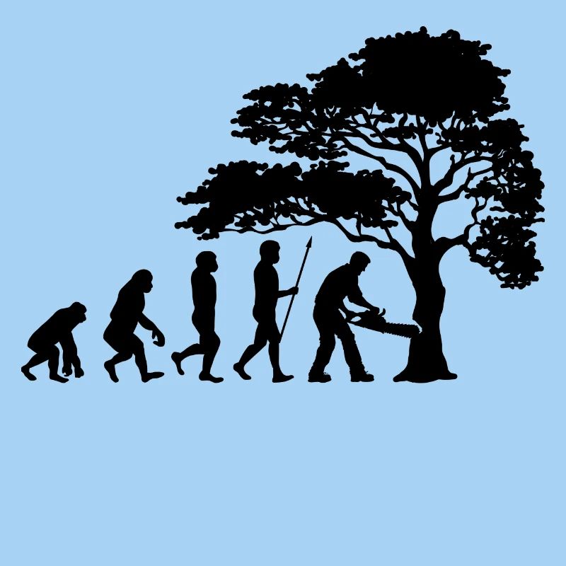 Lumberjack Tree Evolution Saw Sawdust