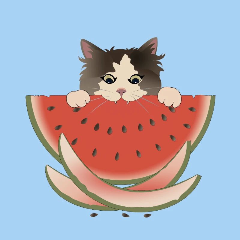 Délice de pastèque Chat