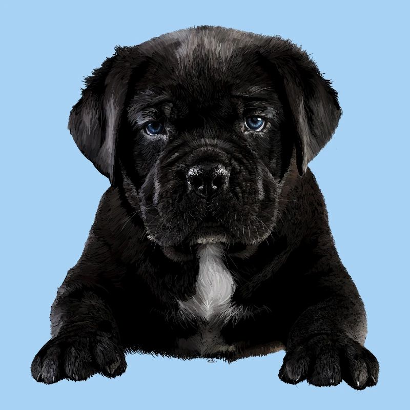 Chiot