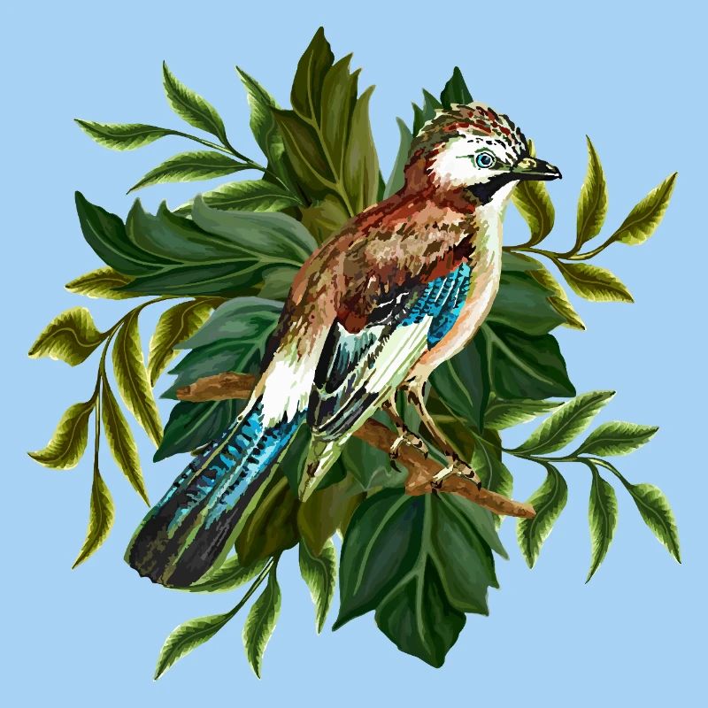 Oiseau coloré