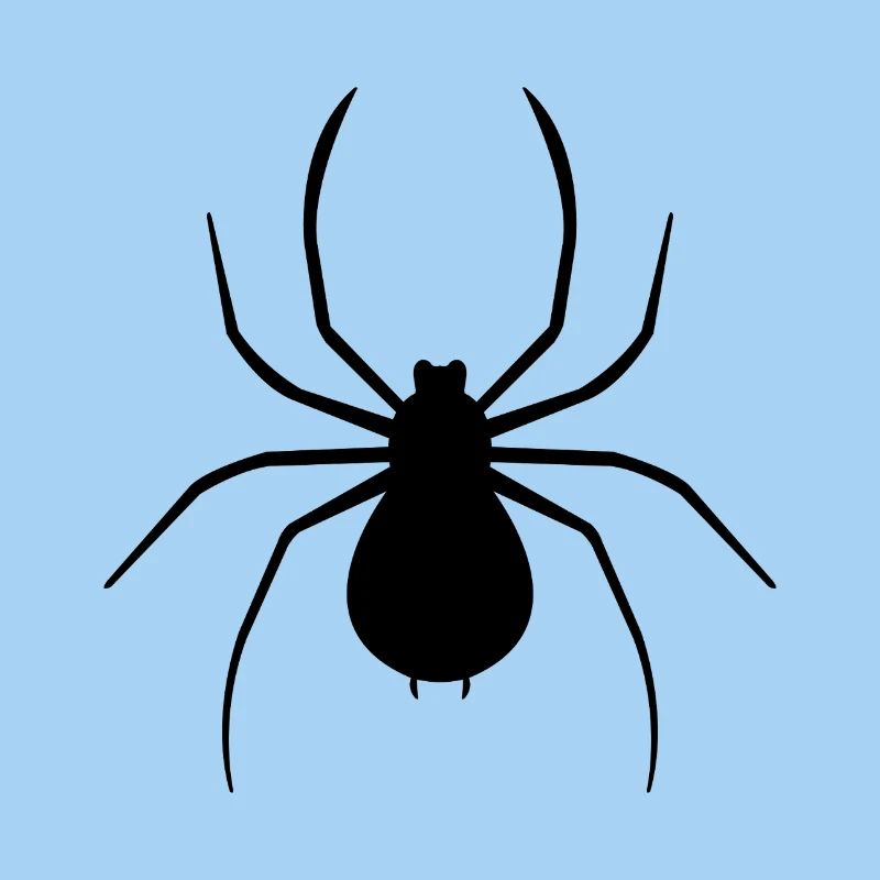 Spinne