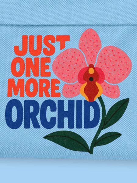 Nur noch eine Orchidee