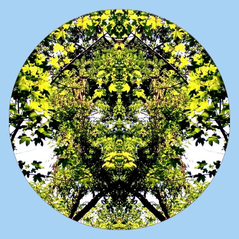 Tree Nature Creature