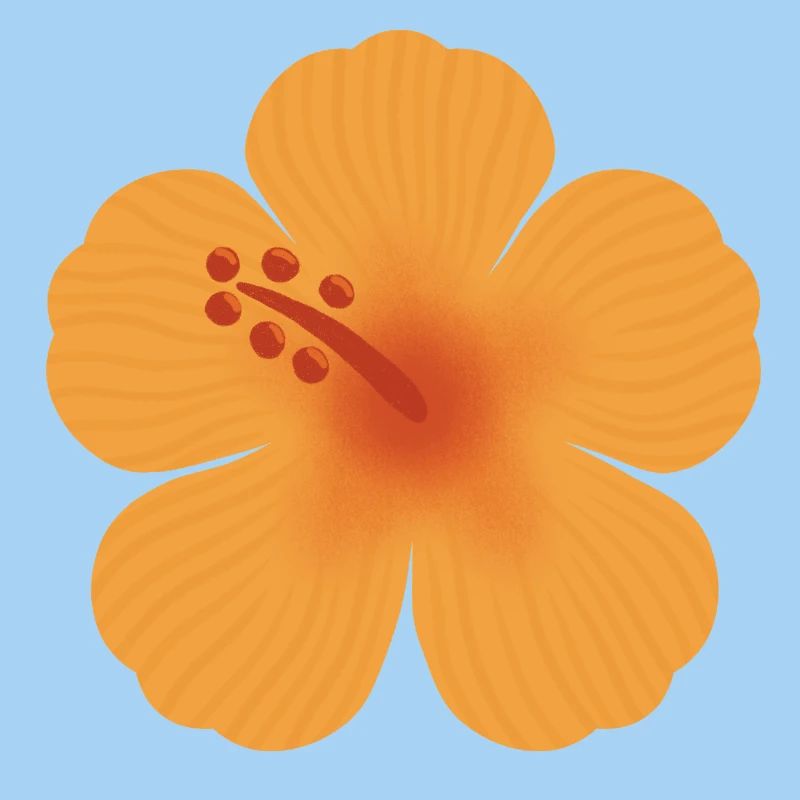 Orange-Hibiskusblüte