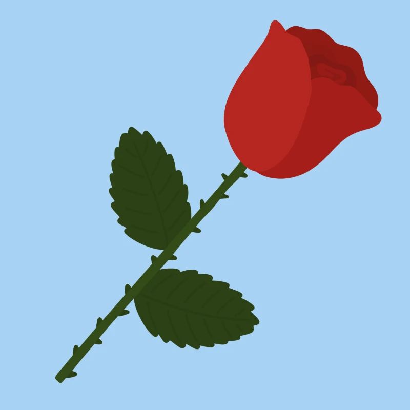 Rosenillustration