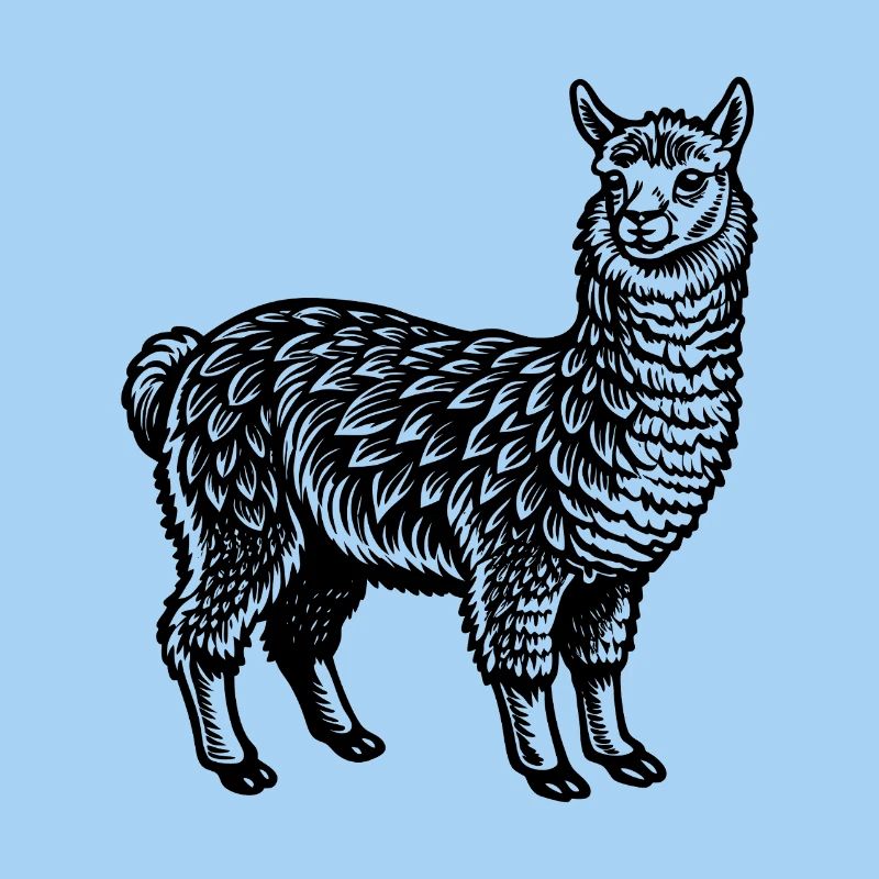 Alpaca