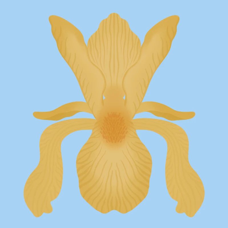 Golden Iris Bloom