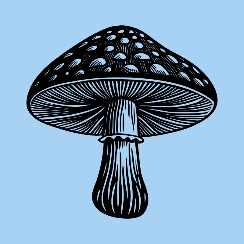 champignon
