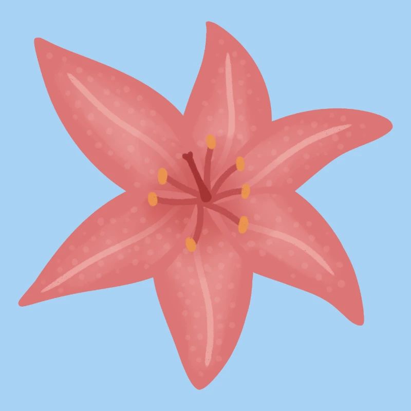 Illustration de fleur de lys rose