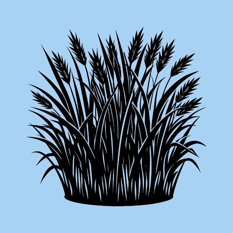 Herbe
