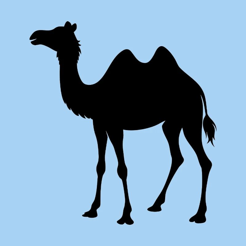 camel