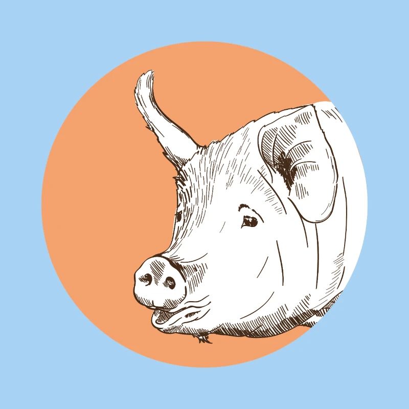 Cochon