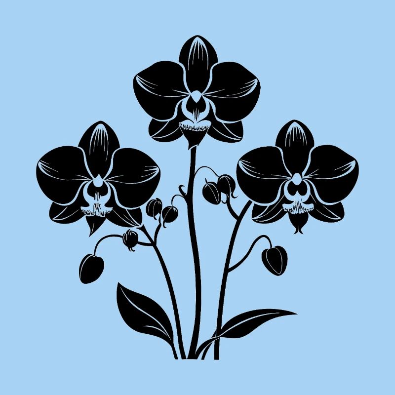 Orchideen