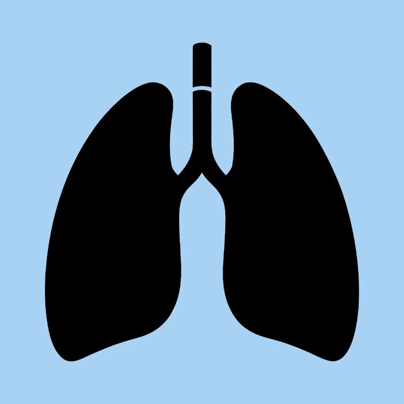 Lungs
