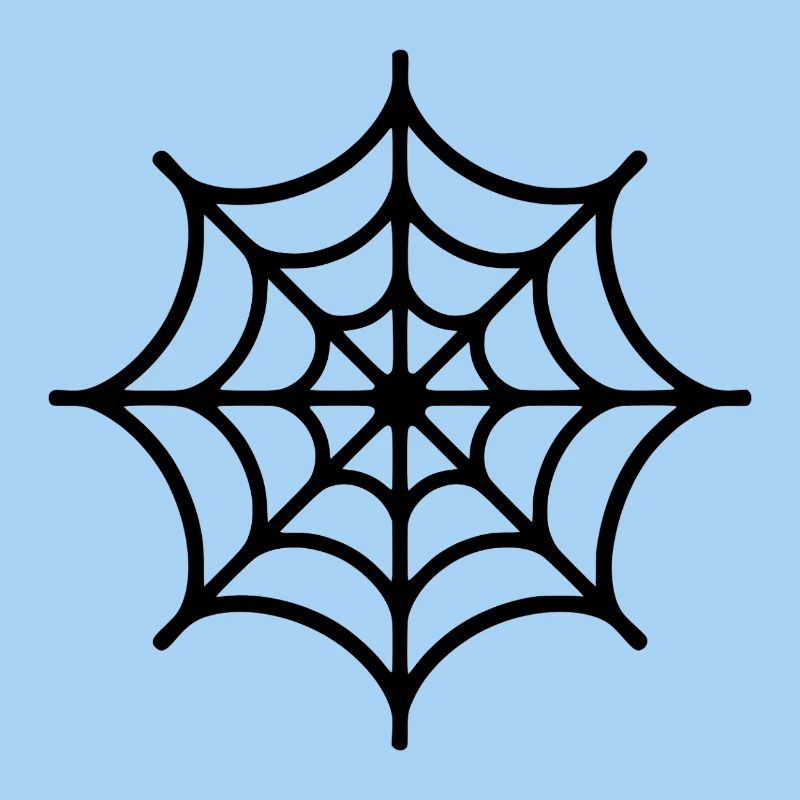 Spider Web Spider