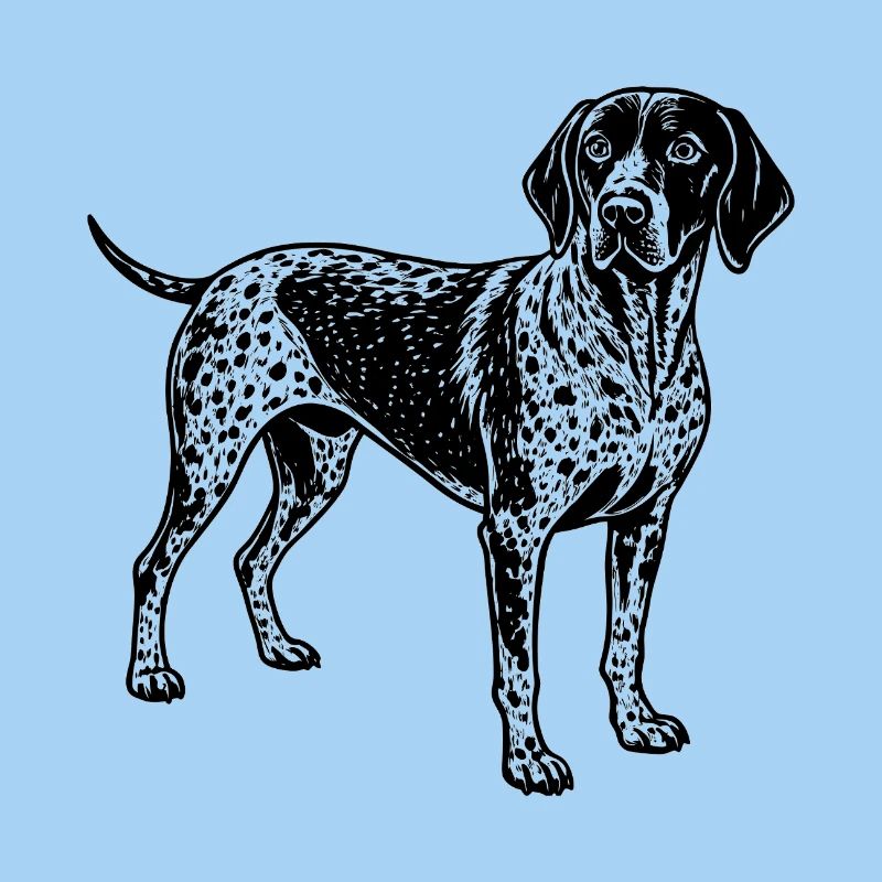 German shorthaired pointer