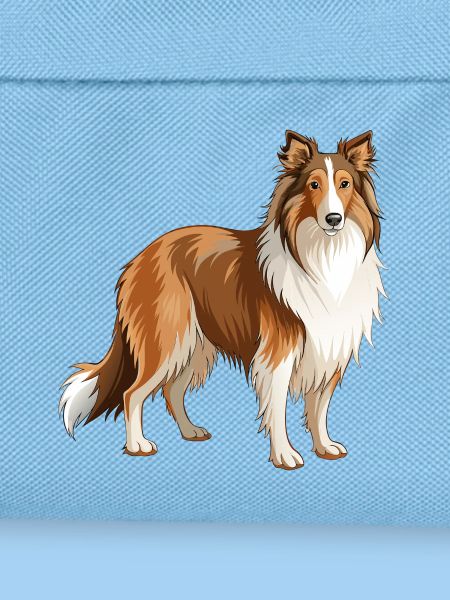 Collie Dog steht