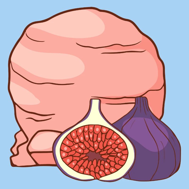 Fruit de la figue Crème glacée Crème glacée Glace