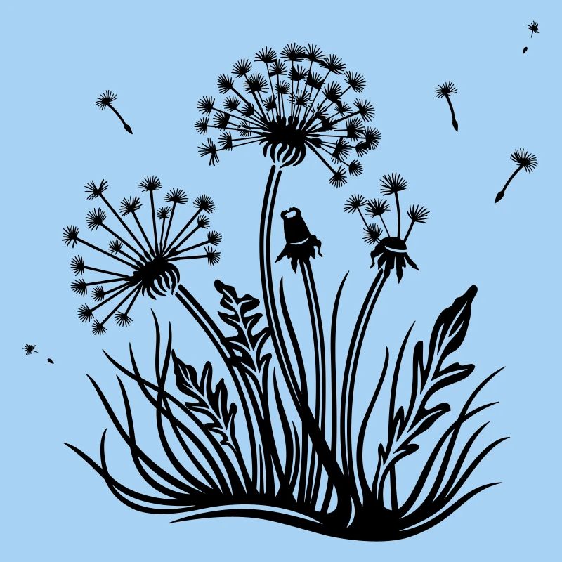 Löwenzahn, Pusteblume, dandelion