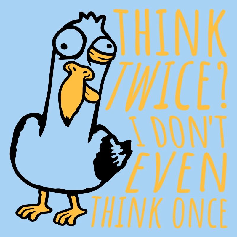 Seagull Crazy Think Twice? I Don't Even Think Once