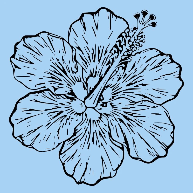 Cadeau de Noël de fleurs d’hibiscus hawaïen, fleurs d’hibiscus