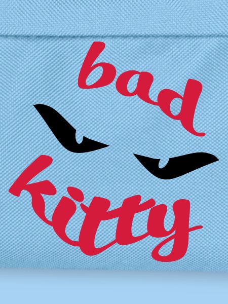 Bad Kitty