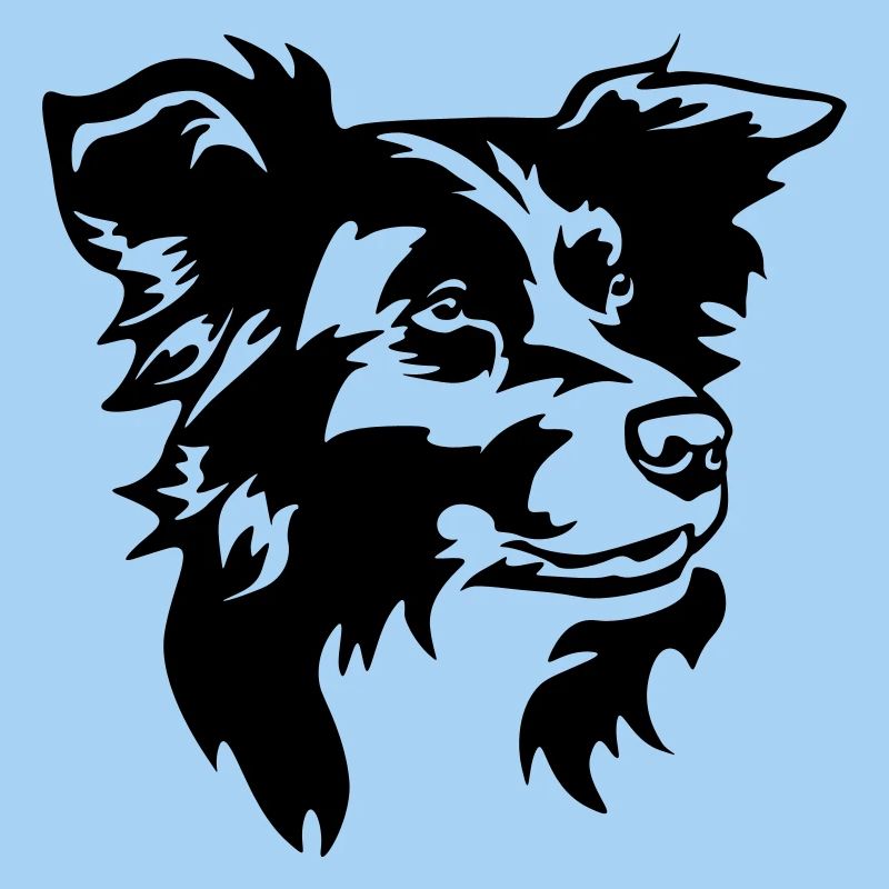 Tête de Border Collie