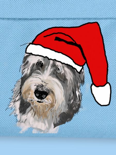 Bearded Collie