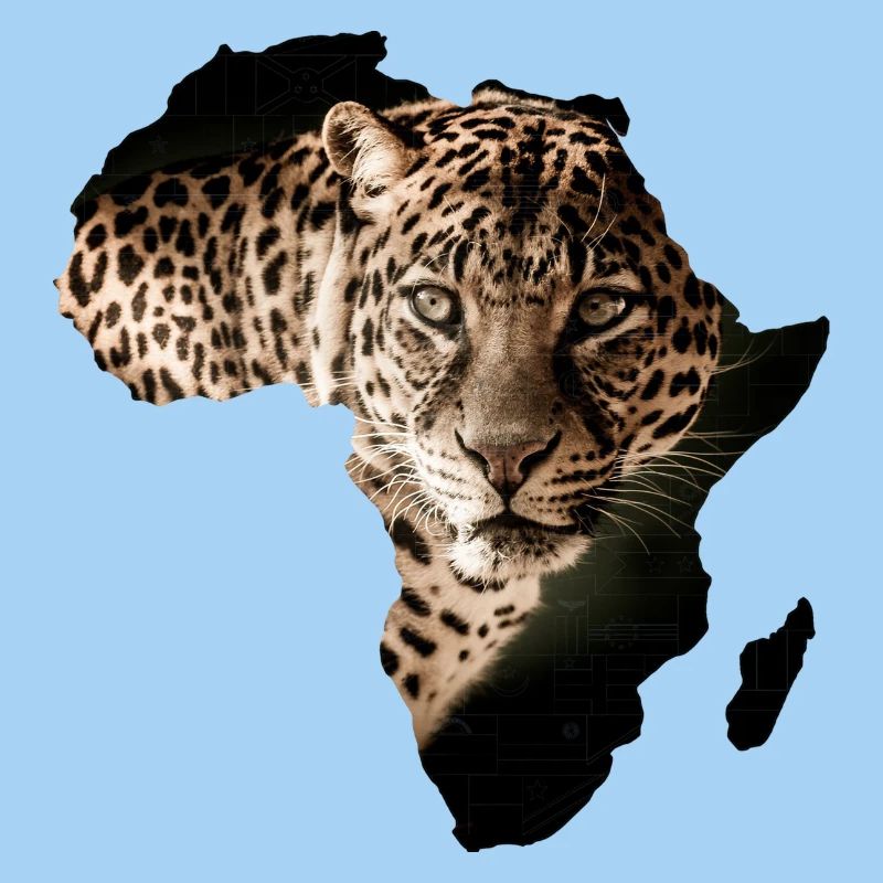 Afrika Leopard