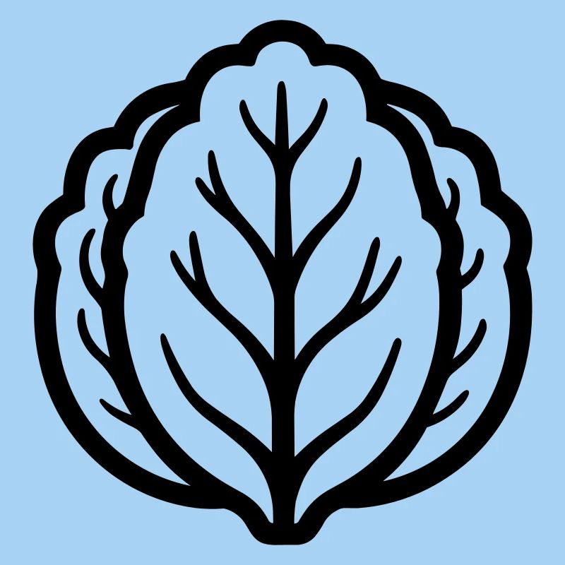 cabbage