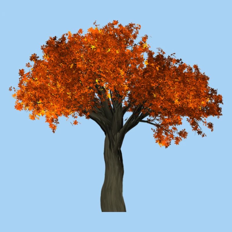 Tree with orange leaves - Autumn