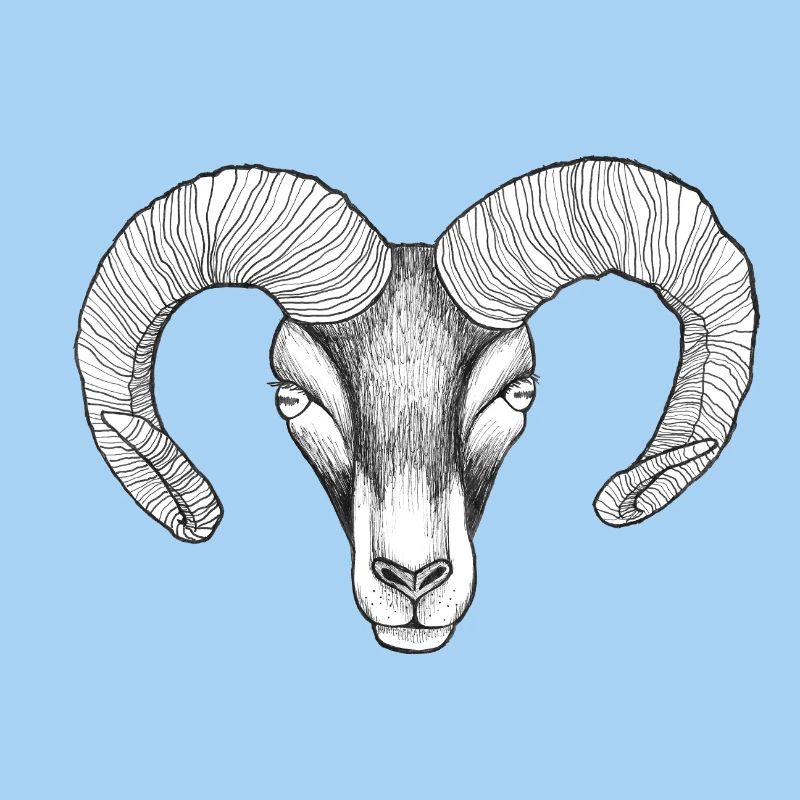 widderkopf
