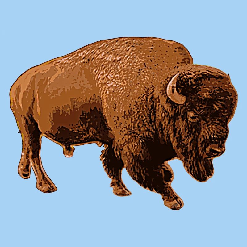 bison