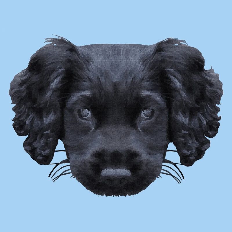 weihnachtsgeschenke für jedermann, Cocker spaniel