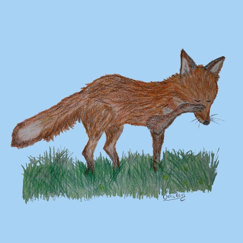 I'm just a fox
