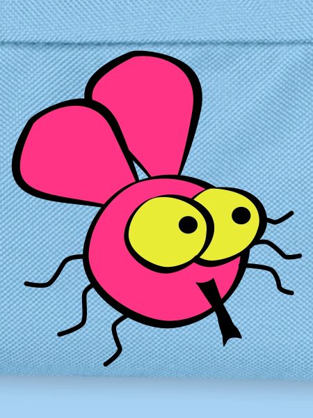 Fly