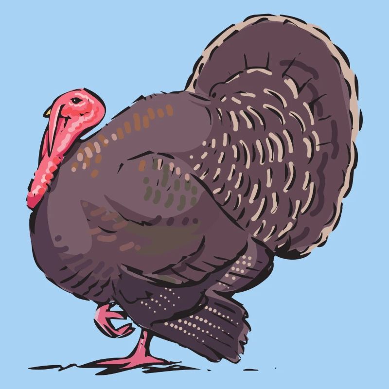 turkey
