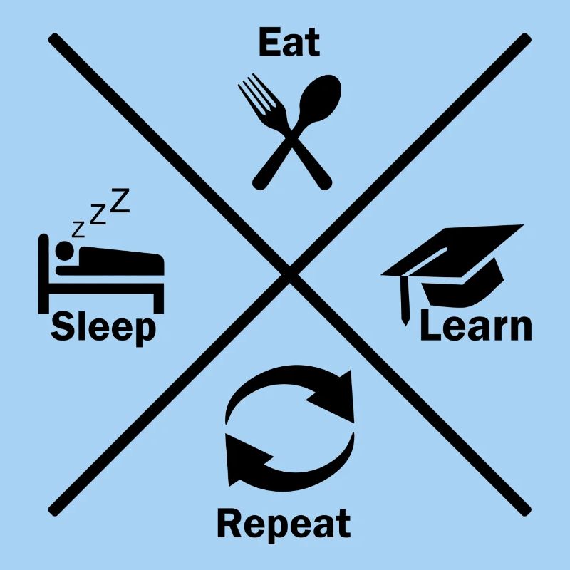 Learn learn sleep cramming gift idea