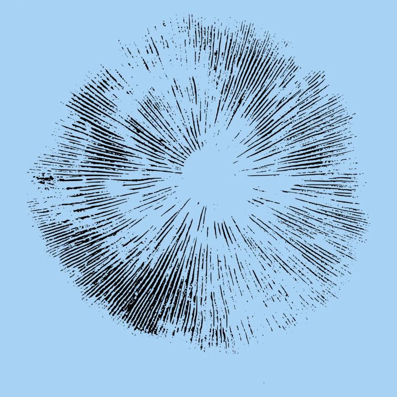 Spore print spore print