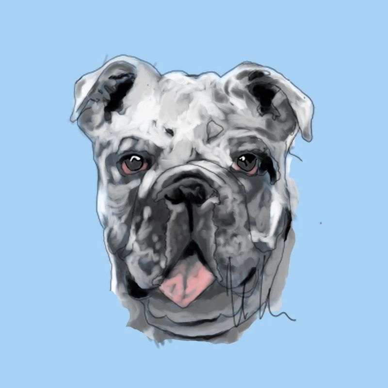 Bulldog