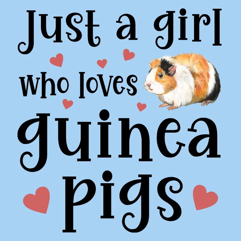 Guinea pig