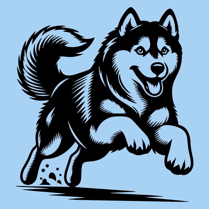 Husky sibérien