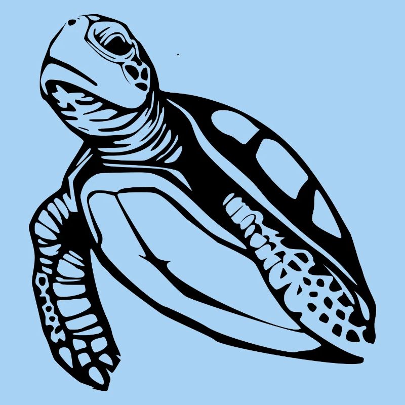 Turtle Turtles