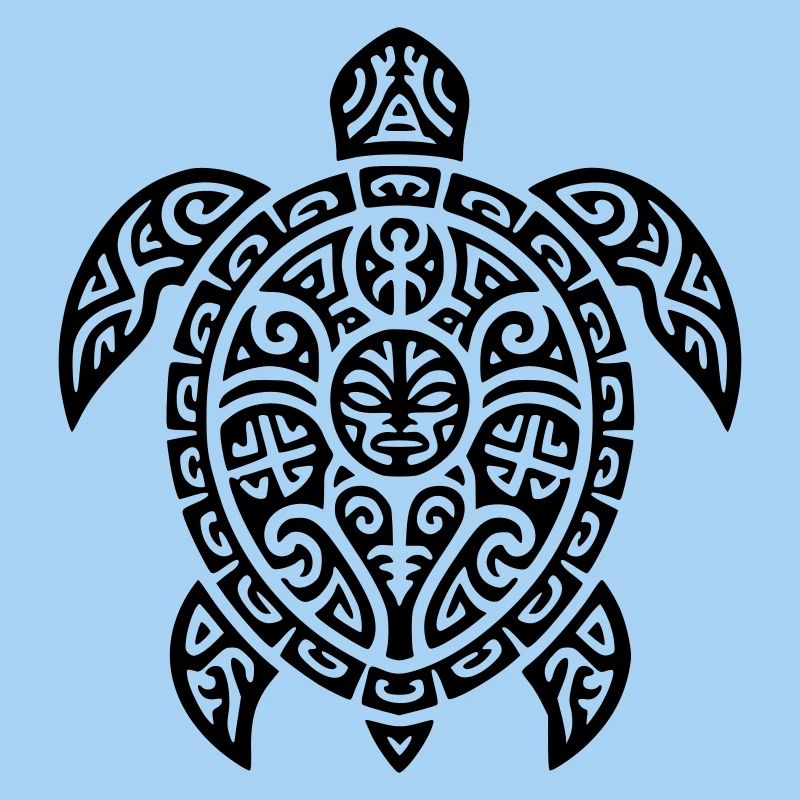 tortue