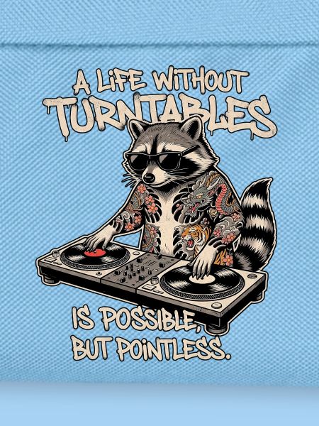 Waschbär Turntable Dj